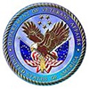 Veteran Seal